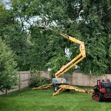 Best Lawn Drainage Solutions  in Golf Manor, OH