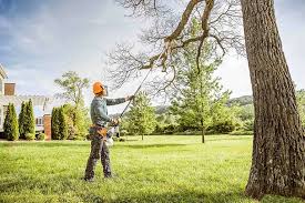 Best Lawn Disease Treatment  in Golf Manor, OH
