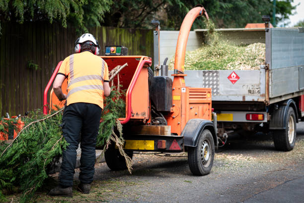 Best Lawn Watering Services  in Golf Manor, OH