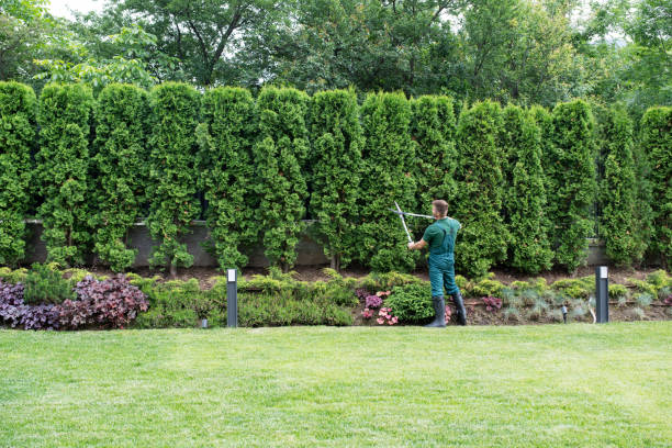 Best Tree Risk Assessment  in Golf Manor, OH